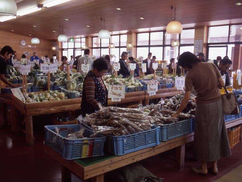 福津市役所 福間農産物直販施設ふれあい広場ふくま 宗像 古賀 粕屋 の施設情報 ゼンリンいつもnavi