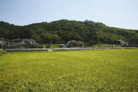 芹田豊前坊の画像