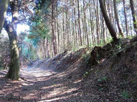 馬ヶ岳城跡の画像