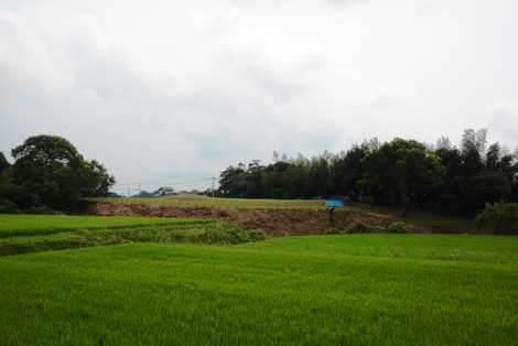 堤土塁跡の画像