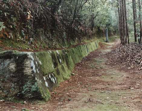 国指定史跡　おつぼ山神籠石の画像