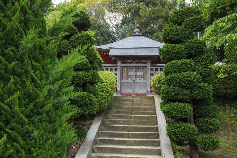 大雄寺の画像