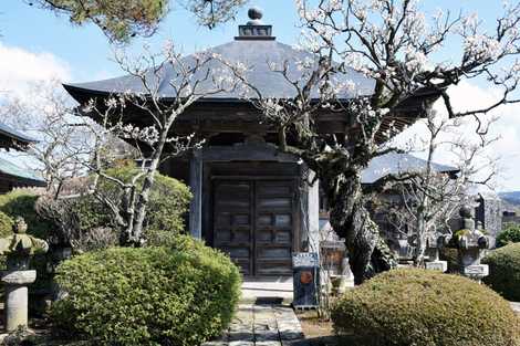 見龍院霊屋の画像