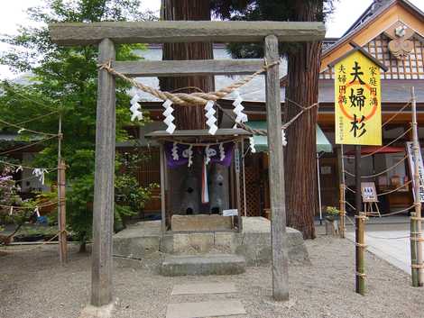 寒河江八幡宮 寒河江八幡宮の画像