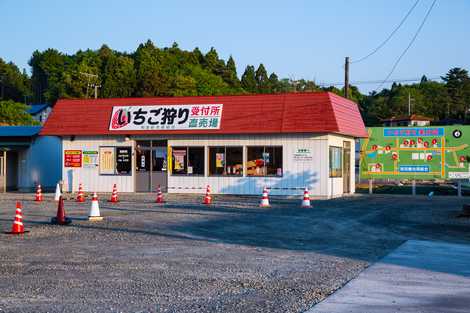 和田観光苺組合 和田観光苺組合の画像
