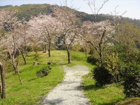 女山史跡森林公園の画像