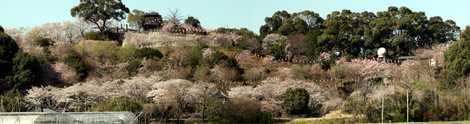 岡山公園の画像