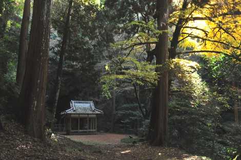 岩戸神社の画像