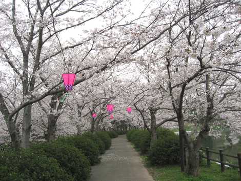 立岡自然公園の画像