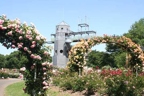 熊本県農業公園カントリーパーク 玉名 菊池 テーマパーク 遊園地 の施設情報 いつもnavi