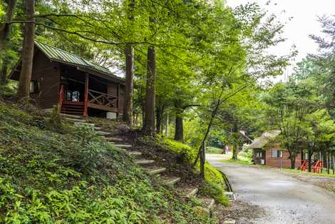 岳間渓谷キャンプ場の画像