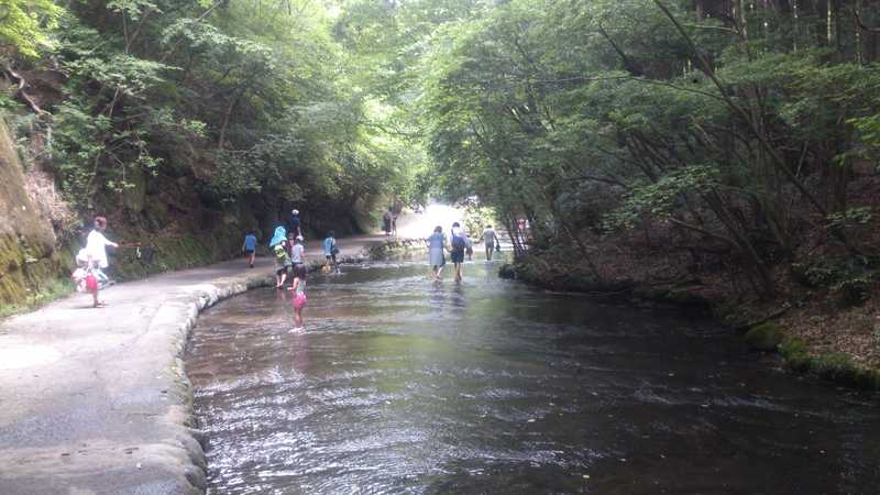 岳切渓谷キャンプ場の画像