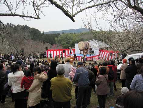 吉野梅まつりの画像