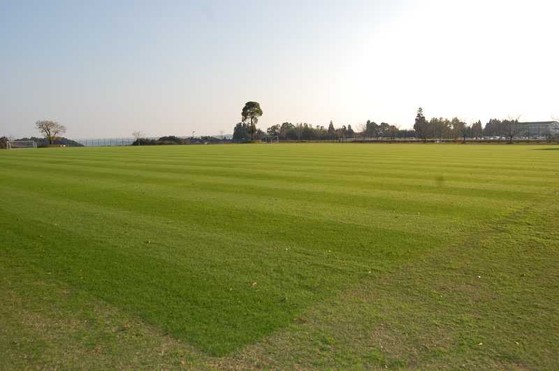 清水台総合公園の画像