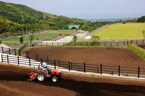 鹿児島市観光農業公園キャンプ場 鹿児島 キャンプ場 の施設情報 いつもnavi