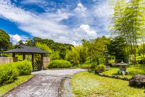 かぐや姫の里竹林公園の画像