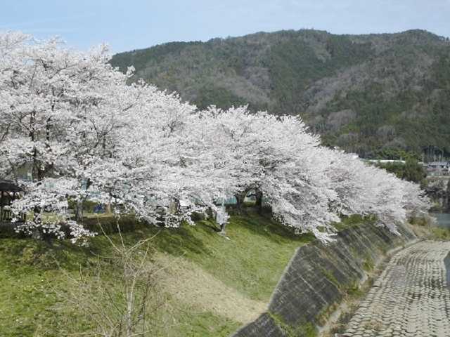 蘇水公園の画像