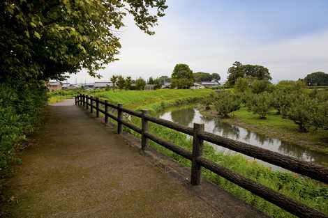 十七条犀川河川公園の画像