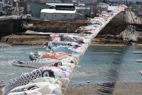 歴舟川清流鯉のぼりの画像