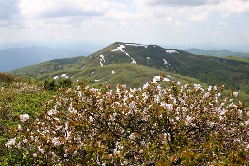 高松岳の画像