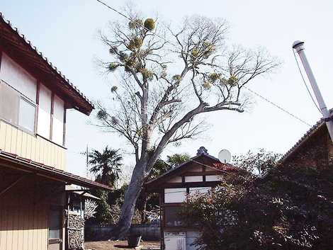 中台の一里塚の画像