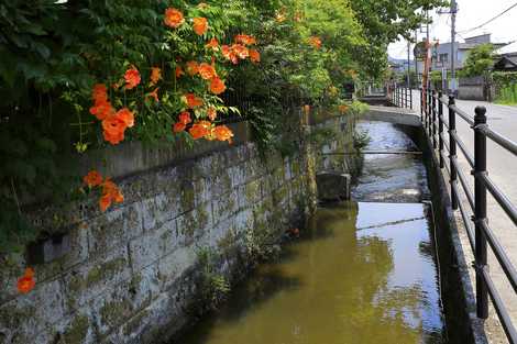 裏堀用水路の画像