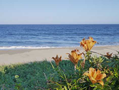 赤浜海岸の画像