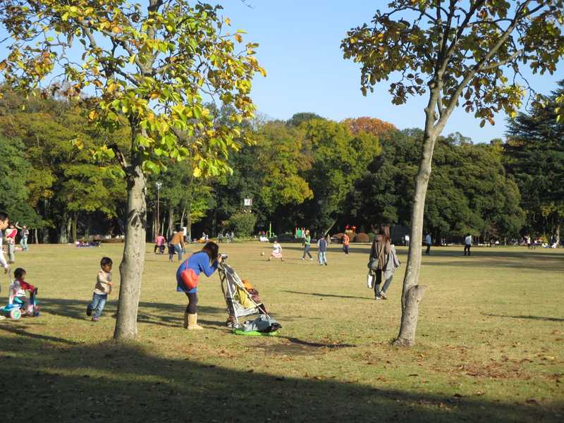 群馬の森公園管理事務所の画像