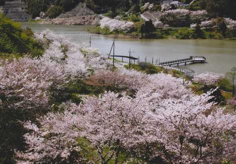 佐久間ダムの画像