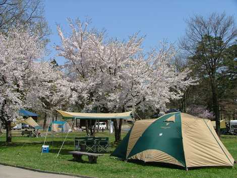 雁の里山本公園の画像