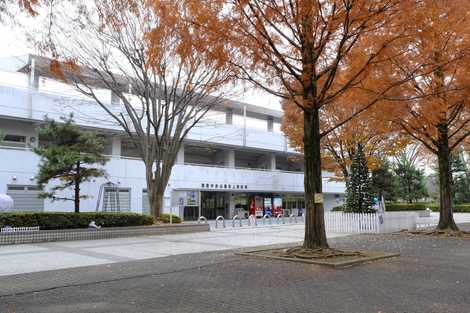 中央公園陸上競技場の画像