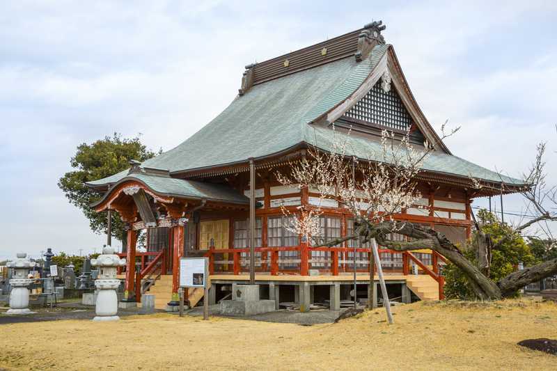 勝覚寺の画像