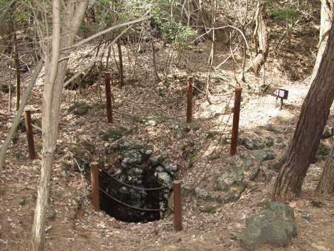 鳴沢の溶岩樹型の画像