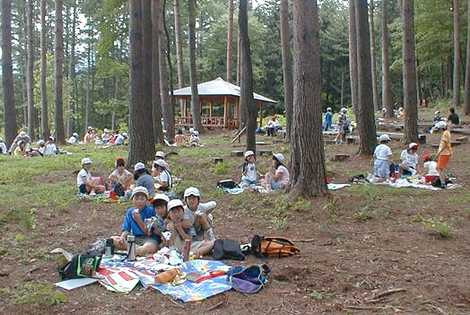 長野県林業総合センター　森林学習展示館の画像