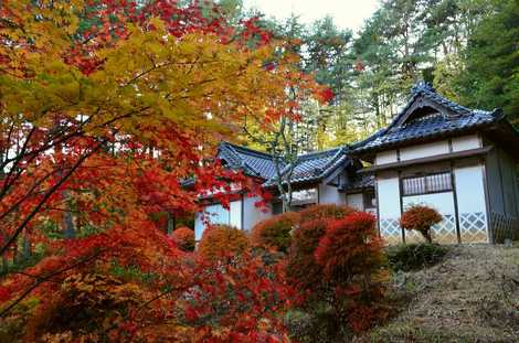 村立学校美術館の画像