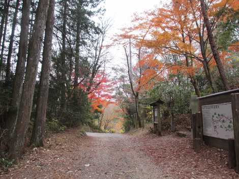 御殿場の画像