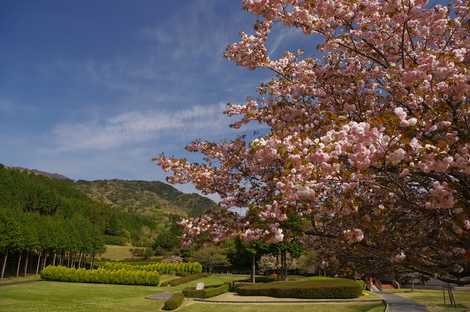 三重県民の森 四日市周辺 近隣公園 の施設情報 いつもnavi