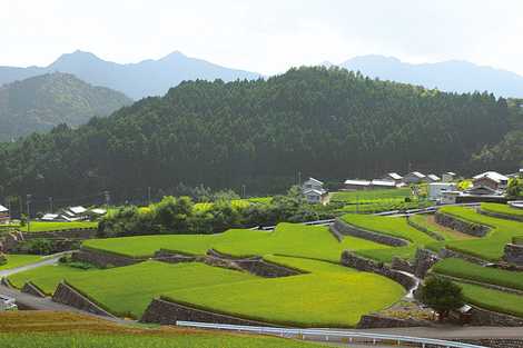 深野棚田のだんだん田の画像