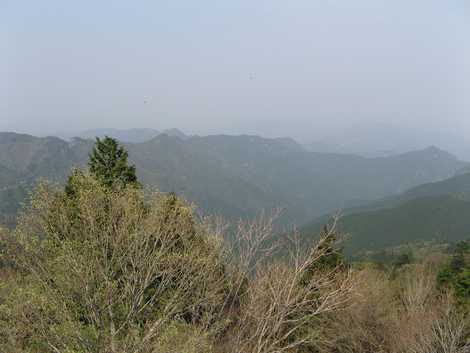 南亦山森林公園の画像