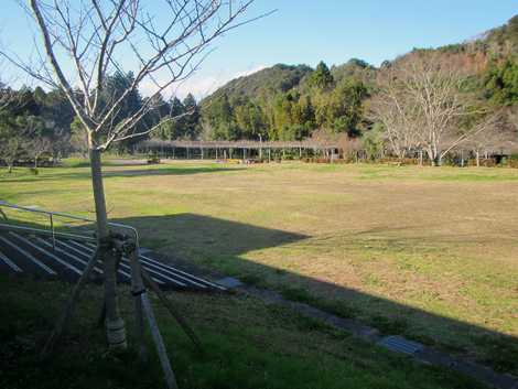 野原公園の画像