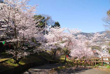 金竜山農村公園の画像