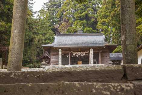 赤穴八幡宮社叢の画像