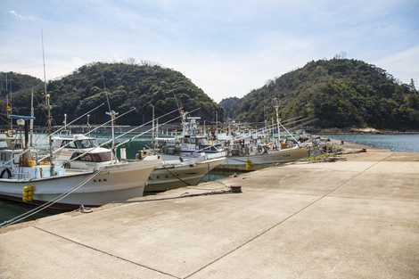 温泉津港の画像