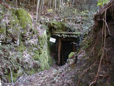 新横相間歩の画像