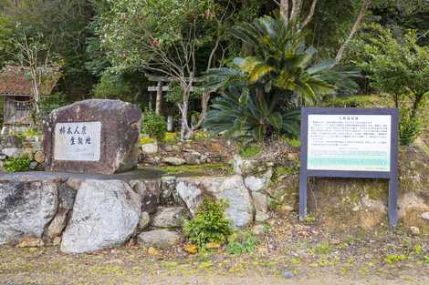 人麿遺髪塚の画像