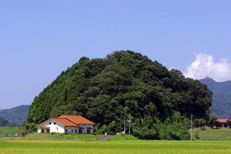 草枕の画像