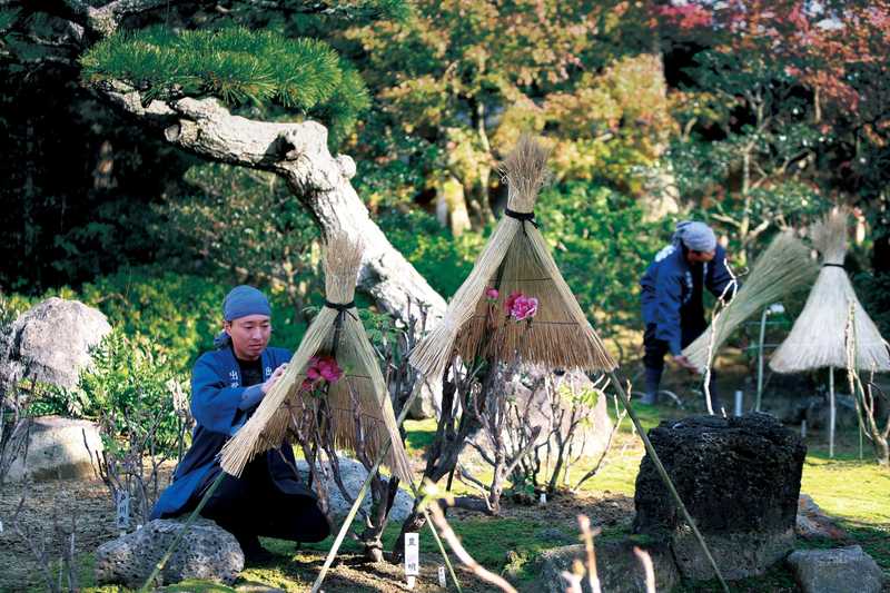 由志園の画像