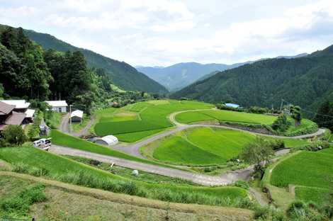 八重地の棚田の画像