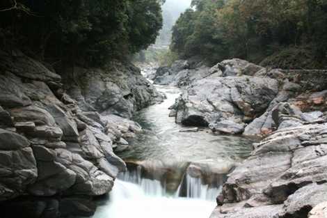 中山川渓谷の画像