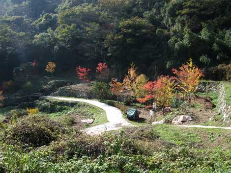 神間歩の画像